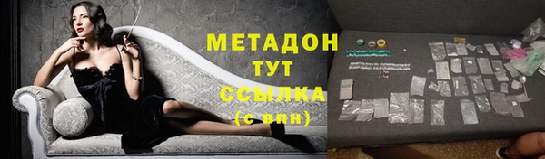 прущие грибы Абаза