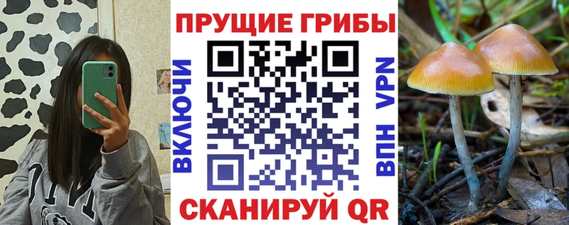 Галлюциногенные грибы GOLDEN TEACHER  Сатка 