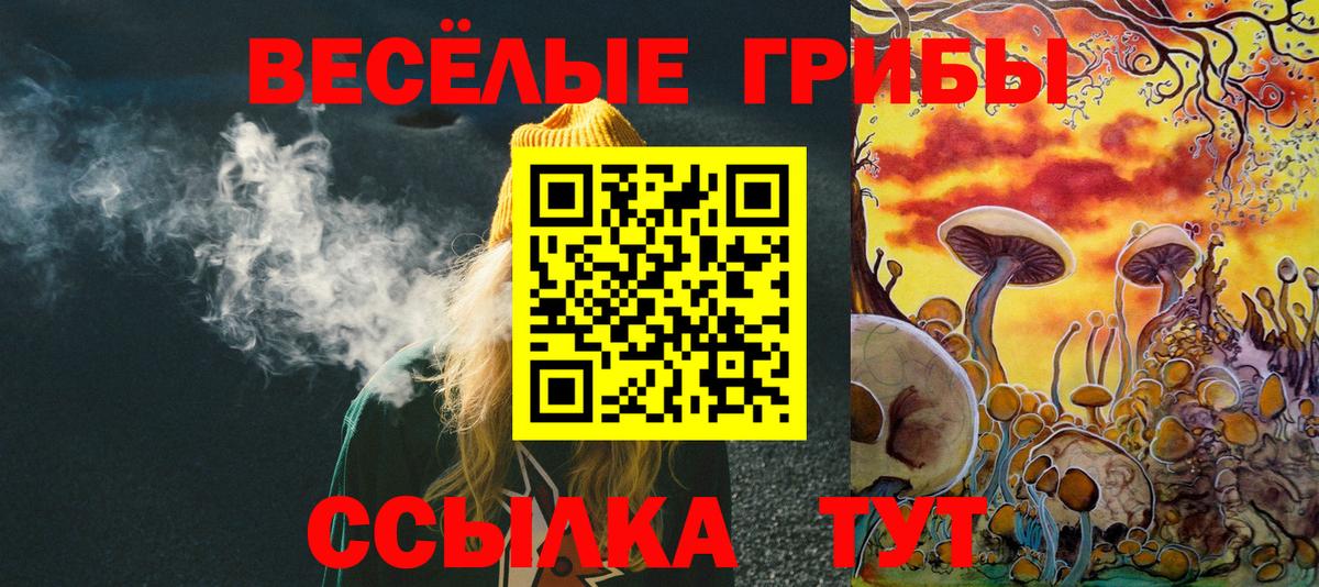 МЕФ Сатка