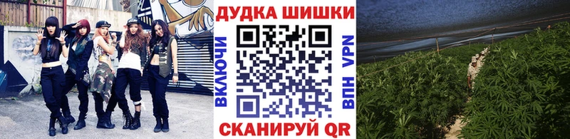Бошки марихуана планчик  Сатка 